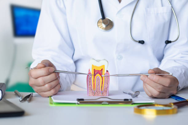 Best Emergency Dental Care for Trauma or Injury in Walkerton, IN